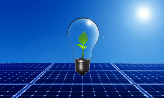 Eine Glühbirne in der eine Pflanze ist