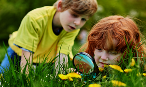 Zwei Kinder liegen in einer Wiese und beobachten mit einer Lupe die Natur