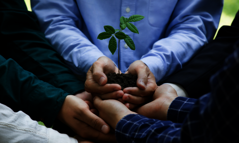 8 Hände die eine Pflanze halten