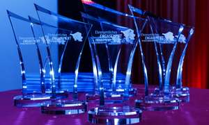 Auszeichnungspokale des Ehrenamtspreises auf einem Tisch angeordnet